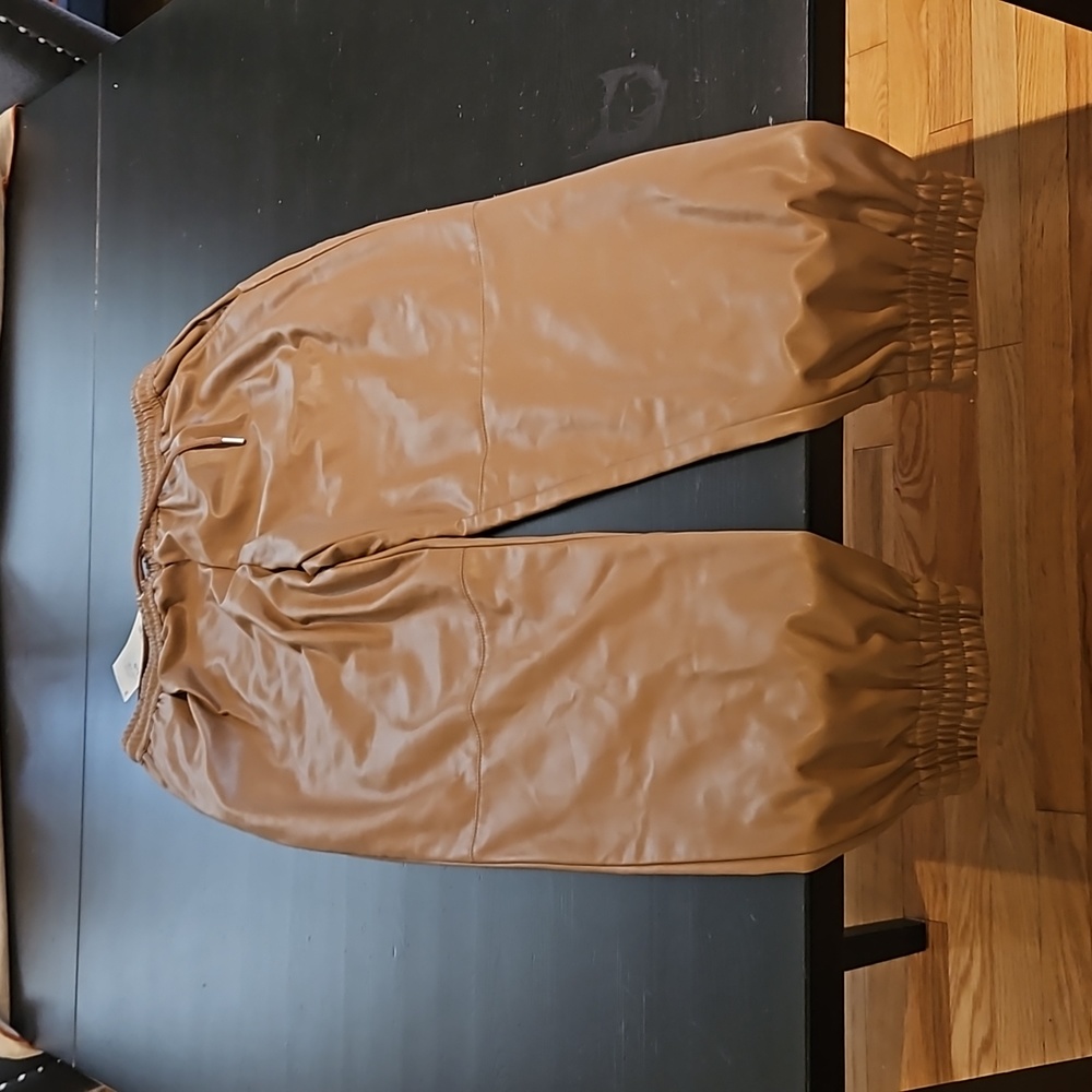 Pleather zara pants